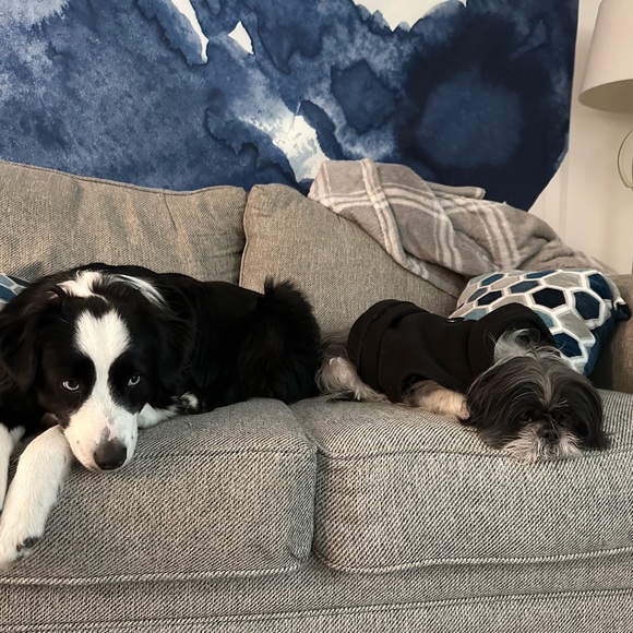 LAREE IS LIVE - FREE LABUBUS AND HUGE DEALS 🤖💕❤️ - Picture 4 of 5